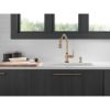 Image sur RP100632CZ DISTRIB SAVON/LOTION A/BO