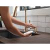 Picture of RP101188CZPR METAL SOAP DISPENSER