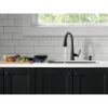 Image sur RP101188BL DISTRIB SAVON METAL