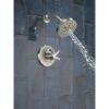 Picture of T17272-SS-PR 17SER SHW TRIM W/H2OKINET