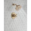 Picture of T17235-CZ 17 SERIES SHOWER ONLY TRIM