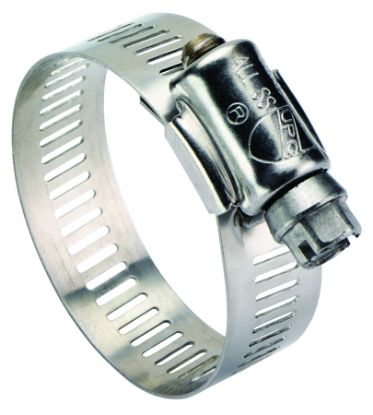 Picture of 2-1/2 - 10 SS HOSE CLMP