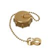 Picture of 3/4 BRS HOSE CAP W 12 CHAIN WSHR