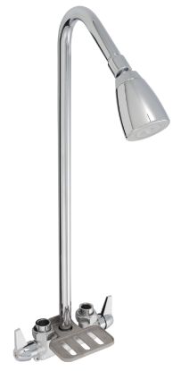 Picture of CCY 1.8 GPM 2HDL UTIL SHWR FCT CP