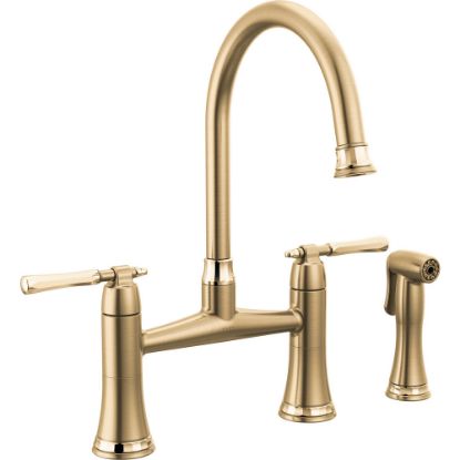 Picture of R++ 62558LFGLPG BRIDGE FCT WITH SPRAY 2L