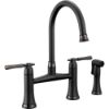 Picture of R++ 62558LFBLBNX BRIDGE FCT W/SPRAY 2L