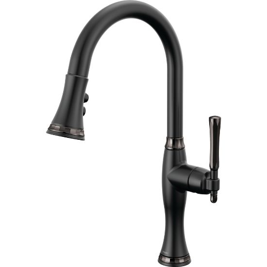 Picture of R++ 63058LFBLBNX PULLDOWN KITCHEN FCT