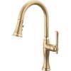 Picture of R++ 63058LF-GLPG PULLDOWN KITCHEN FAUCET