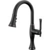 Picture of R++ 63958LF-BLBNX PULL-DOWN PREP FAUCET