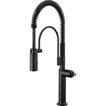 Picture of R++ 63375LF-BLLHP SPRING SPOUT PULL-DOWN