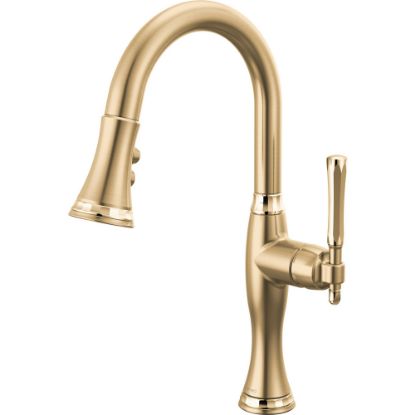 Picture of R++ 63958LF-GLPG PULL-DOWN PREP FAUCET