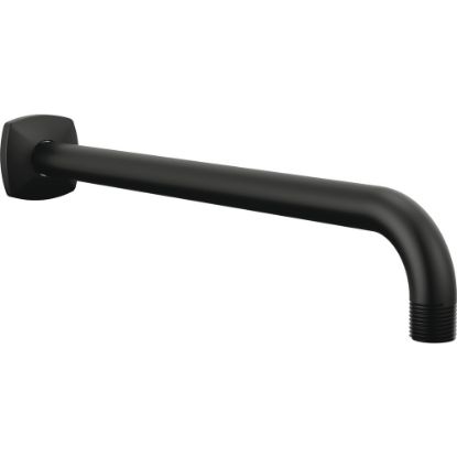 Picture of R++ 83867-BL SHOWER ARM & FLANGE