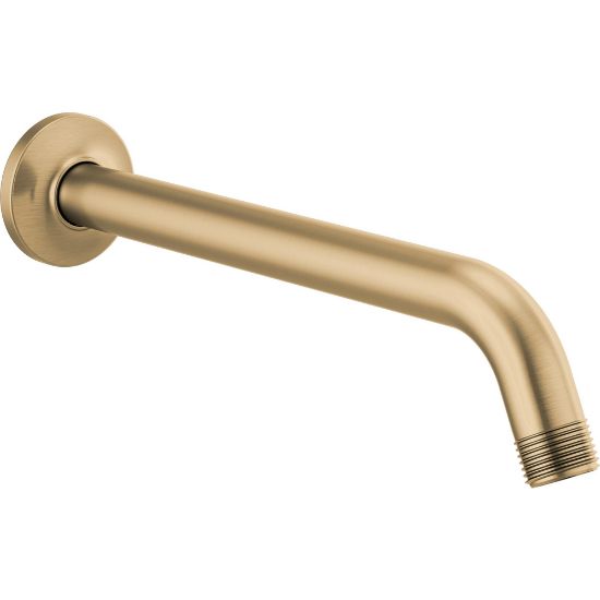 Picture of R++83806-GL SHOWER ARM AND FLANGE