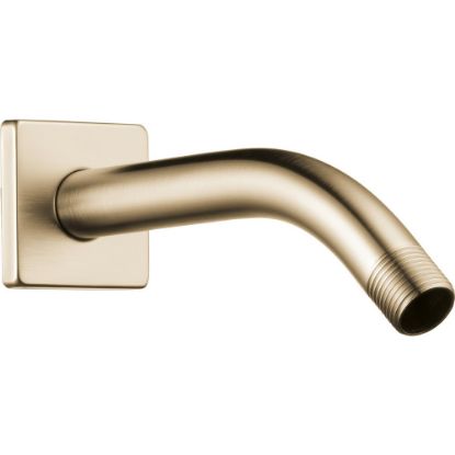 Picture of R++RP74448GL SHOWER ARM AND FLANGE