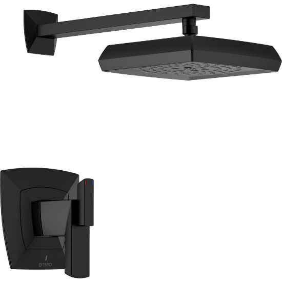 Picture of R++ T60288BL TEMP THERM SHW TRIM