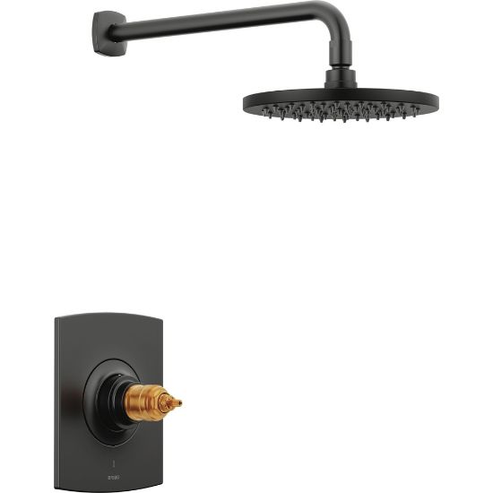 Picture of R++ T60267BLLHP THERMOSTATIC SHW TRIM