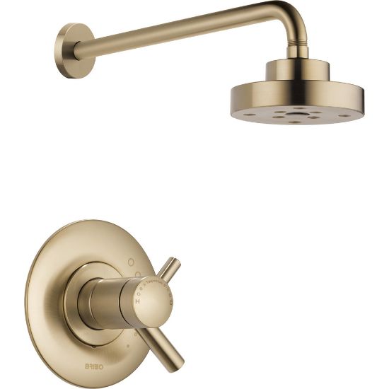 Picture of R++ T60275GL SHOWER ONLY MEDIUM FLOW   S