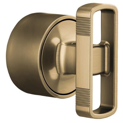 Picture of R++HK6606-GL SENS THERM VLV HDL KIT-KNOB