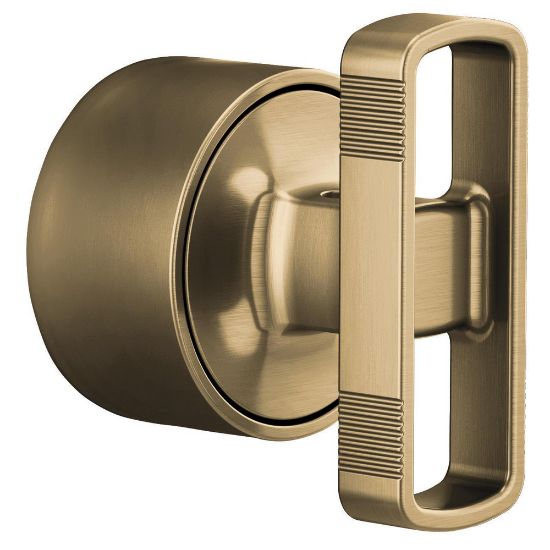 Picture of R++HK6606-GL SENS THERM VLV HDL KIT-KNOB