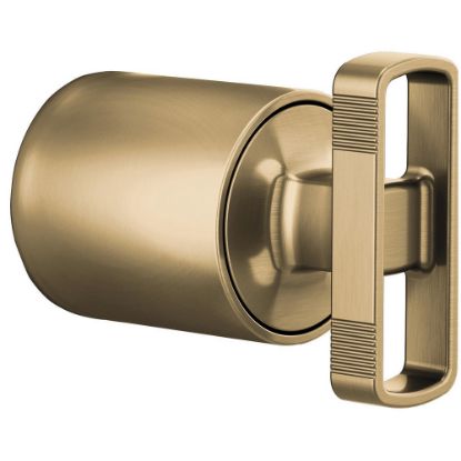 Picture of R++HK60P06-GL PRES BAL VLV HDL KIT-KNOB