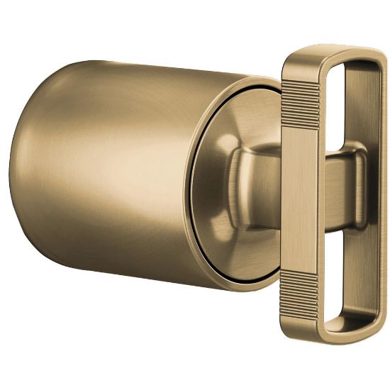 Picture of R++HK60P06-GL PRES BAL VLV HDL KIT-KNOB