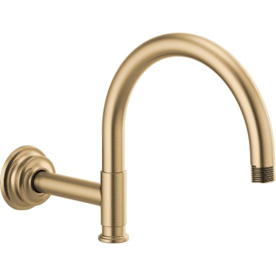 Picture of R++ RP100326GL SHOWER ARM AND FLANGE
