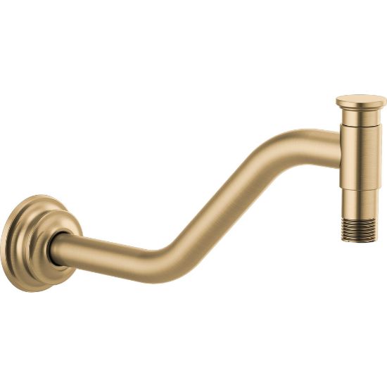 Picture of R++ RP100325GL SHOWER ARM AND FLANGE