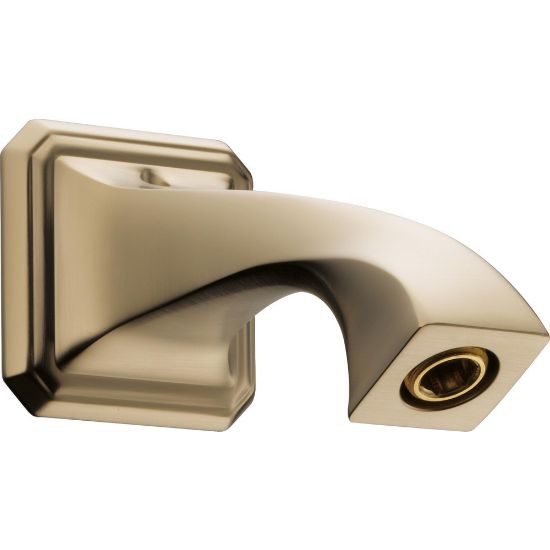 Picture of R++ RP62603GL SHWR ARM & SET SCREW .