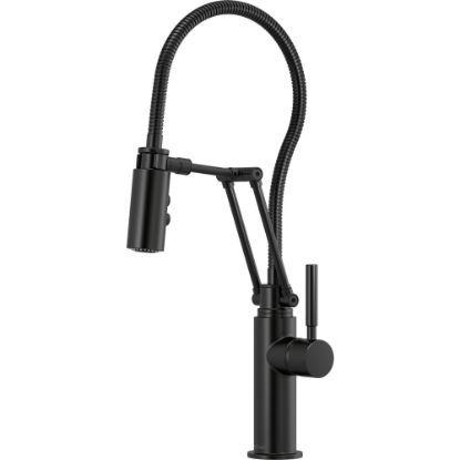 Picture of R++ 63121LFBL ARTICU FCT W/FINI HOSE