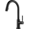 Picture of R++ 64020LFBL BRIZ SOLNA PDOWN KITCH