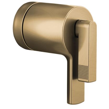 Picture of R++HL6006-GL THERMO VLV HDL KIT - LEVER
