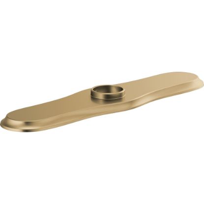 Picture of R++ RP100299GL OPTIONAL ESCUTCHEON