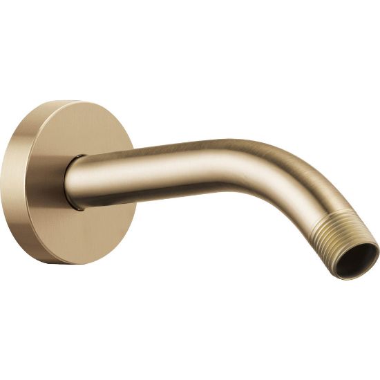 Picture of R++ RP74751GL SHOWER ARM AND FLANGE