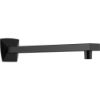 Picture of R++ RP90243BL SHOWER ARM AND FLANGE