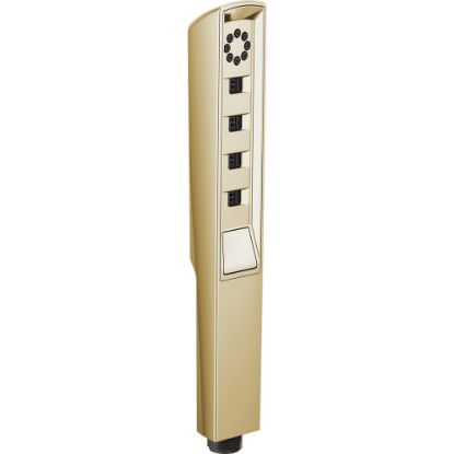 Picture of R++ RP92007PG HAND SHOWER