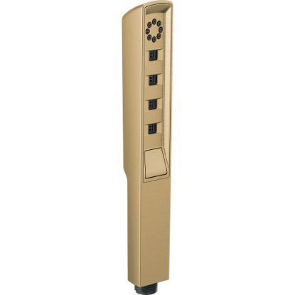 Picture of R++ RP92007GL HAND SHOWER