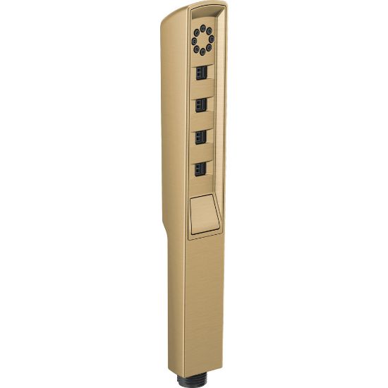 Picture of R++ RP92007GL HAND SHOWER