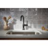 Picture of R++ 61058LF-BLBNX BAR FAUCET