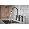 Picture of R++ 62558LFBLBNX BRIDGE FCT W/SPRAY 2L