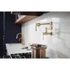 Picture of R++ 62858LFGLPG WALL MOUNT POT FILLER 2L