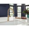 Picture of R++ 63058LF-GLPG PULLDOWN KITCHEN FAUCET