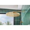 Picture of R++ 83867-GL SHOWER ARM & FLANGE