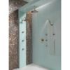 Picture of R++ T60285PNCO SHOWER ONLY MEDIUM FL
