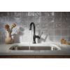 Picture of R++ 61058LF-BLBNX BAR FAUCET