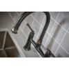 Picture of R++ 62558LFBLBNX BRIDGE FCT W/SPRAY 2L