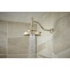 Picture of R++ RP100325PN SHOWER ARM AND FLANGE