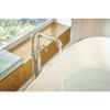 Picture of R++ HX7076 PN F/S TUB FILLER HDL LVR