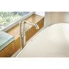Picture of R++ HX7076 PN F/S TUB FILLER HDL LVR