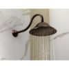 Picture of R++ RP54168RB 16" SHWR ARM&FLG RB