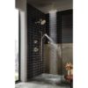 Picture of R++ RP81434PN SHOWER ARM AND FLANGE